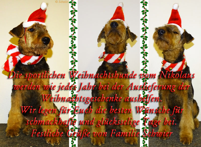 Frohe Weihnachten
