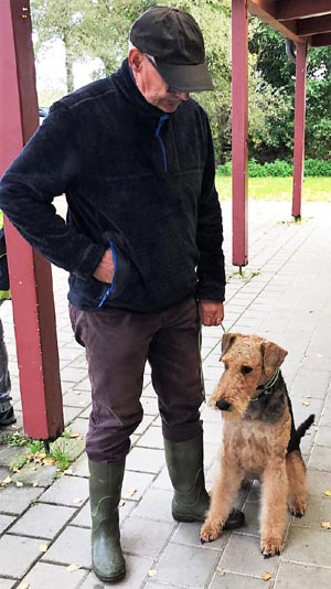 Airedale Terrier Deckrüde Zino von Haus Schirmer