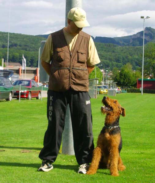 Airedale Terrier